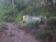 Медикам залишилось тільки констатувати смерть: На в'їзді до Києва авто вилетіло у ліс, водія придавило (фото)