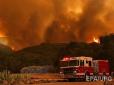 У Каліфорнії тривають потужні лісові пожежі (відео)